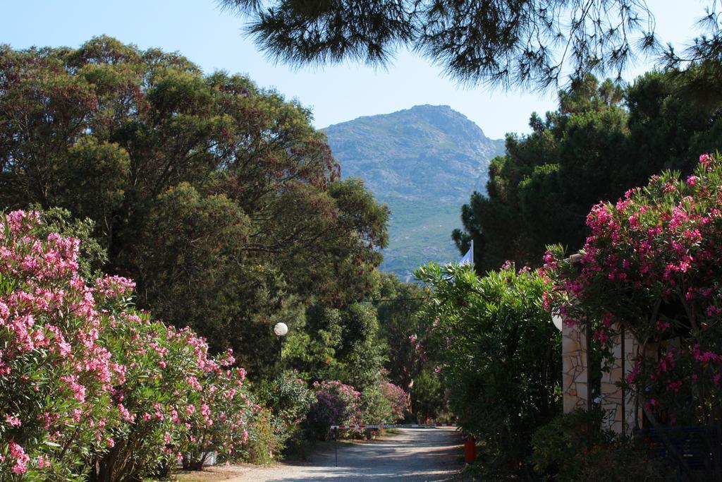 Camping Bella Vista Calvi  Zewnętrze zdjęcie